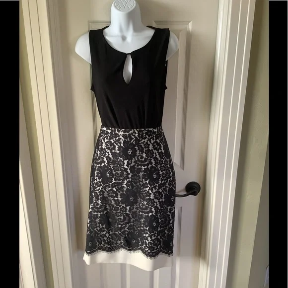 The Limited | Skirts | The Limited Scandal Collection Black And Cream Lace Pencil  Skirt | Poshmark
